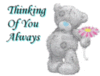 Thinking of You Always Teddy Bear