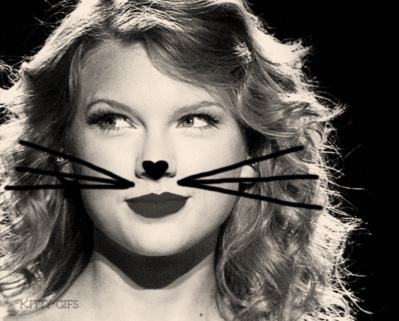 Taylor Swift Kitty