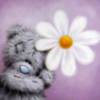 Thinking of You Teddy bear with Flower