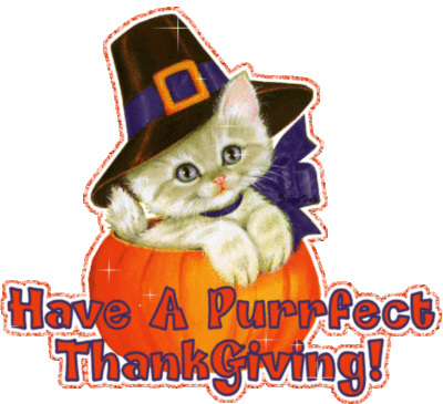 Have a purrfect Thanksgiving!