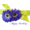 Happy Birthday Flowers