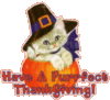Have a purrfect Thanksgiving!