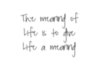 The meaning of life to give life a meaning