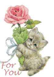 For You rose Kitty