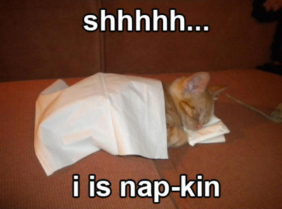 LOLCat: shhhh... i is nap-kin