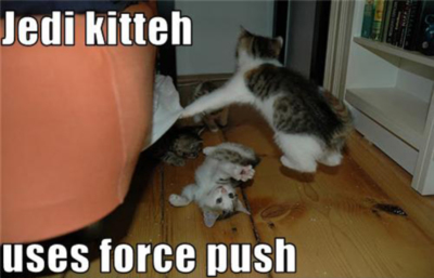 LOLCats: Jedi kitten uses force push