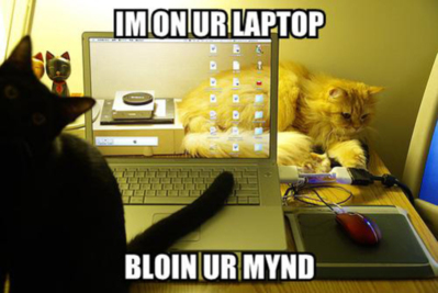 LOLCats: IM on UR Laptop Bloin UR Mind