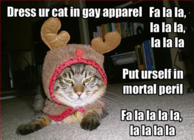 LOLCat: Dress ur cat in gay apparel. Put urself in mortal peril.