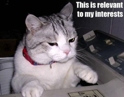 LOLCat: This is relevant to my interests