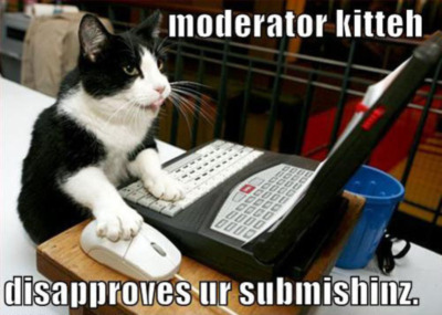 LOLCat: Moderator Kitten Disapproves UR Submishinz