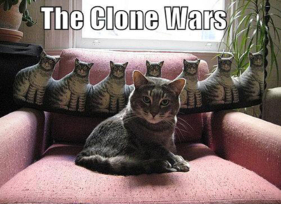 LOLCats: The Clone Wars