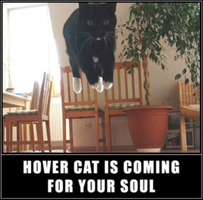 LOLCat: Hover Cat is Coming For Your Soul