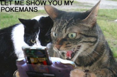 LOLCats: Let Me Show You My Pokemans