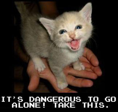LOLCat: It's Dangerous to Go Alone! Take This.