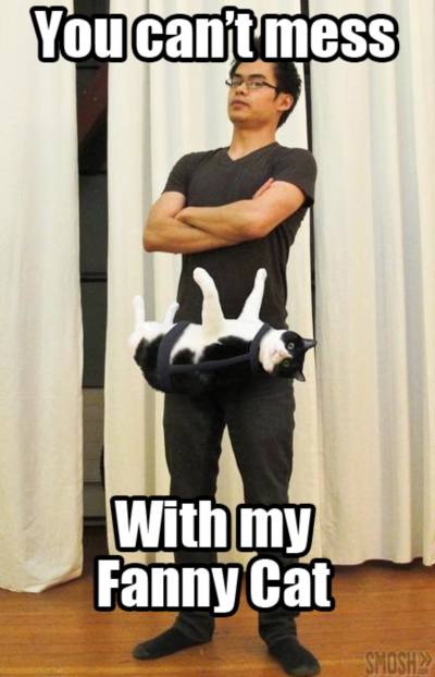 LOLCat: You can't mess with my Fanny Cat