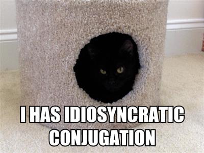 LOLCat: I has idiosyncratic conjugation
