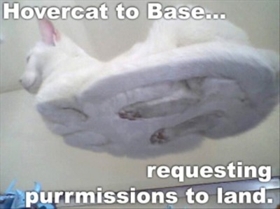 LOLCat: hovercat to base... requesting purrmissions to land.