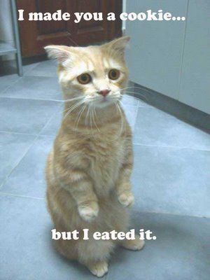 LOLCat: I made you a cookie... but I eated it.