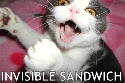 LOLCat: Invisible sandwich