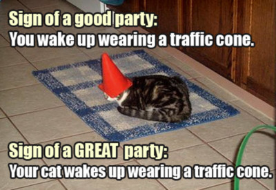LOLCat: Sign of a good party: You wake up wearing a traffic cone. Sign of a great party: Your cat wakes up wearing a traffic cone.