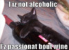 LOLCat: I iz not alcoholic. I'z passionat bout wine