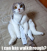 LOLCat: I Can Has Walkthrough?