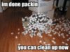 LOLCat: Im done packin. You can clean now.