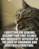 LOLCat: I question the general assumption that felines are inherently deficient in the area of grammar and sentence structure