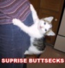 LOLCat: surprise buttsecks