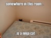 LOLCat: somewhere in this room... is a ninja cat