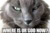 LOLCat: Where is ur God now?