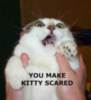 LOLCat: You make kitty scared