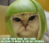 LOLCat: I got my hair done, but I have nothing to wear to the art opening