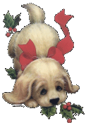 Merry Christmas. Cute Puppy