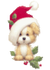 Merry Christmas! Cute puppy
