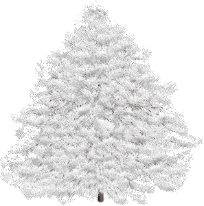 Merry Snow Christmas! Christmas tree