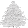 Merry Snow Christmas! Christmas tree