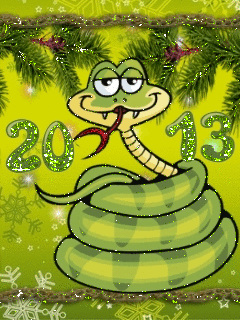 Happy 2013 New Year!