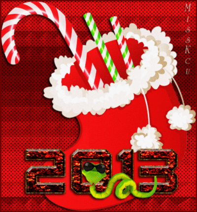 Happy 2013 New Year!