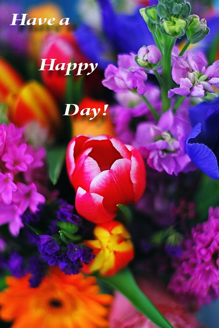 Have a Happy Day!