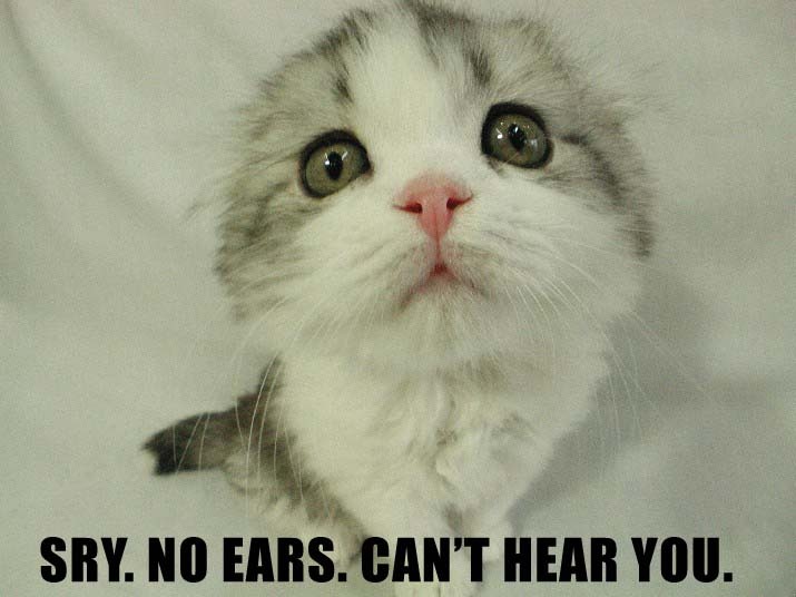 LOLCat: Sry. No ears. Can't hear you.