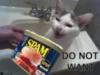LOLCat: DO NOT WANT