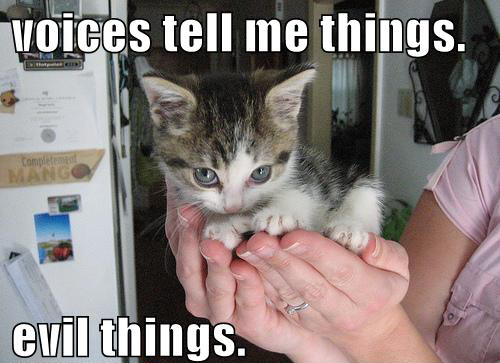 LOLCat: voices tell me things. evil things.