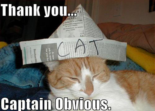 LOLCat: Thank you... Capitain Obvious.
