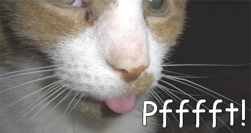 LOLCat: Pfffft!