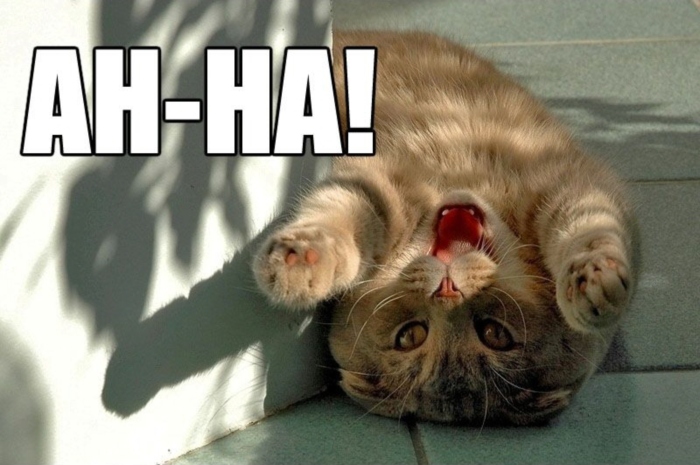 LOLCat: AH-HA!