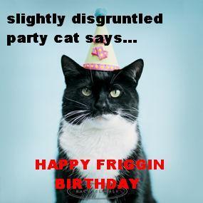 LOLCat: slightly disgruntled party cat says... HAPPY FRIGGIN BIRTHDAY