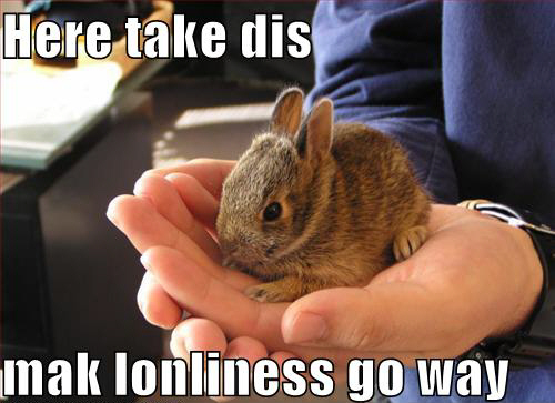 LOL: Here take dis mak lonliness go way