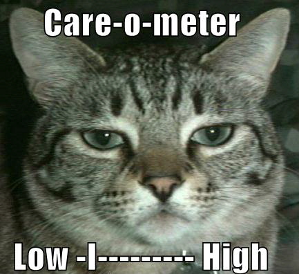 LOLCat: Care-o-meter Low -I--------- High