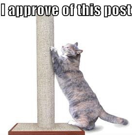 LOLCat: I approve of this post